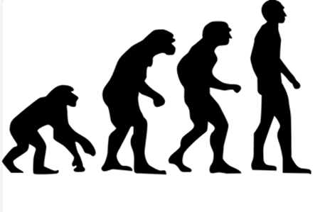 Human_Evolution.png